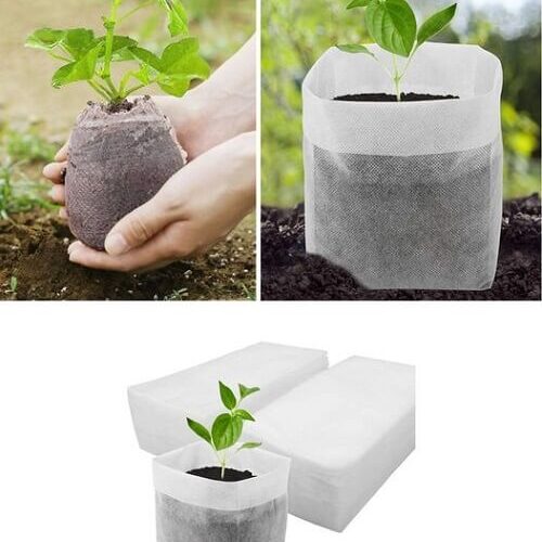 Taimede ettekasvatuskotid 100tk/kompl*